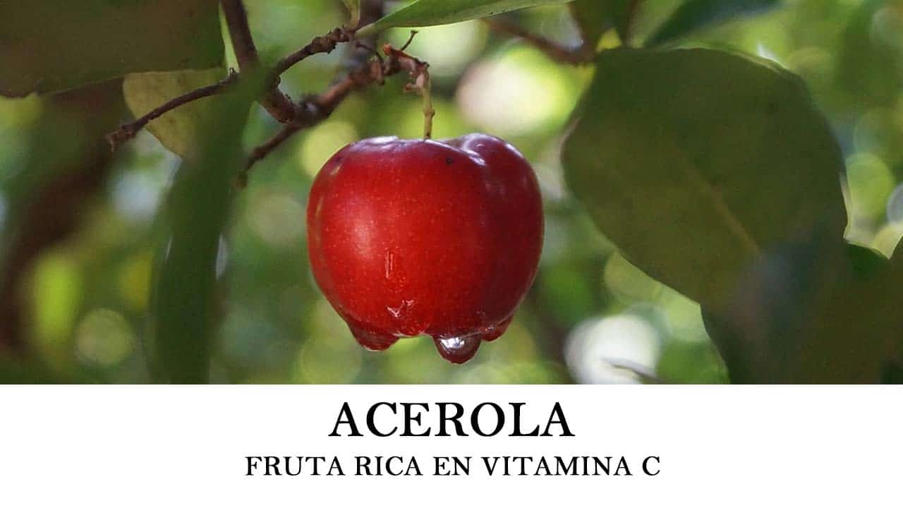 Plantar Acerola - Guía para el cultivo de esta nutritiva fruta
